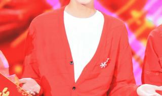 王俊凯春晚 王俊凯春晚